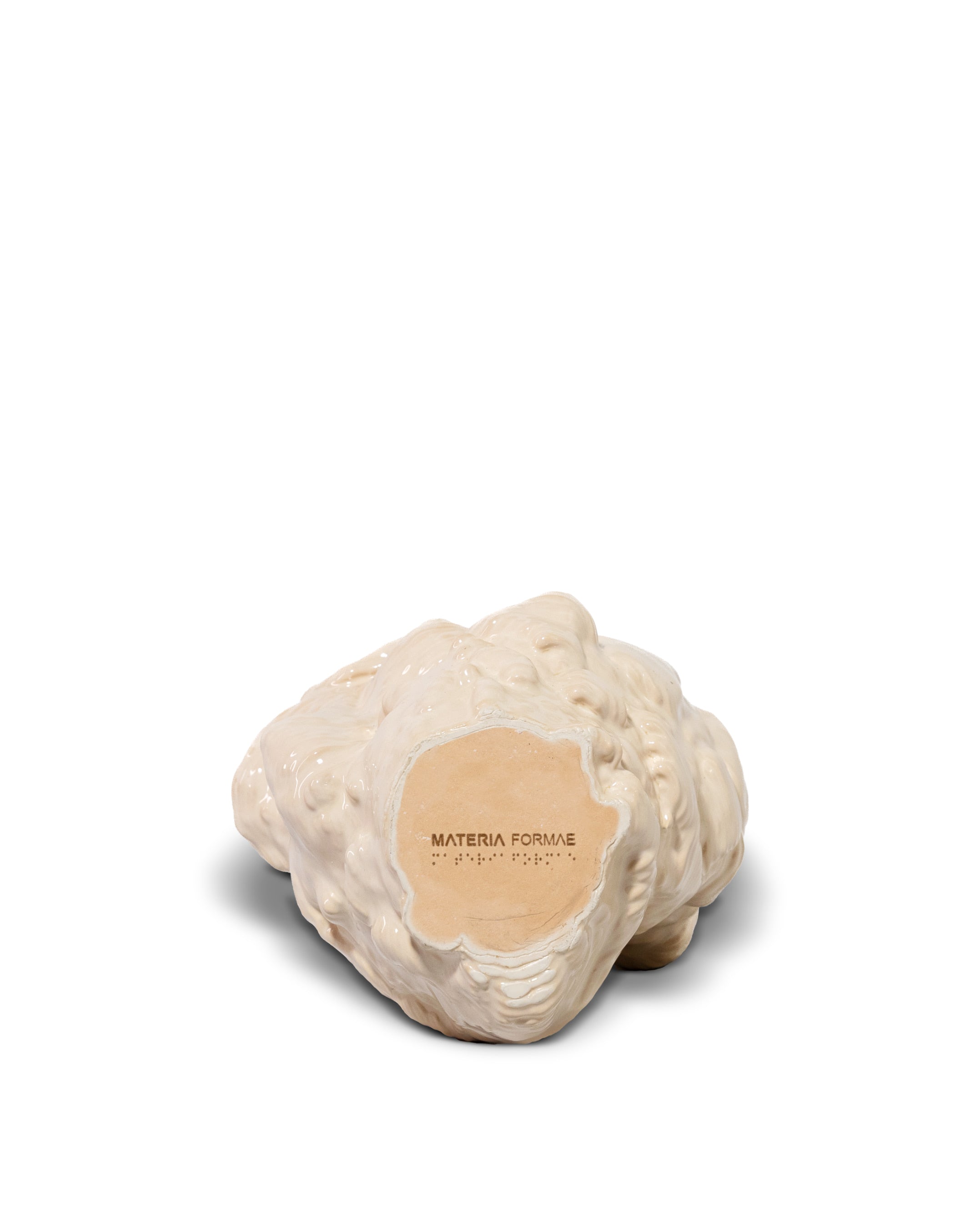 MATTER FORMAE_002
