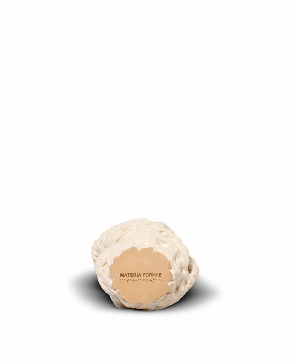 MATTER FORMAE_003